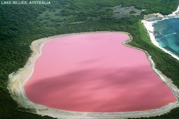 12 Craziest Things in Nature